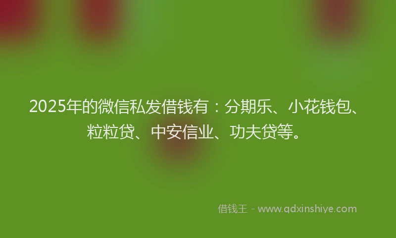 2025年的微信私发借钱有：分期乐、小花钱包、粒粒贷、中安信业、功夫贷等。