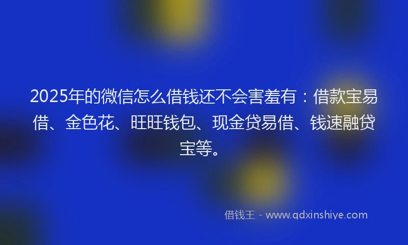 2025年的微信怎么借钱还不会害羞有：借款宝易借、金色花、旺旺钱包、现金贷易借、钱速融贷宝等。