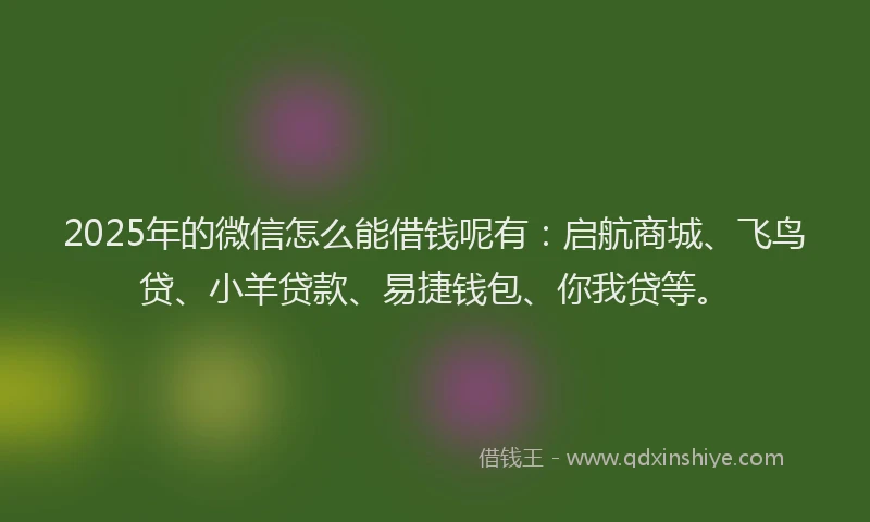 2025年的微信怎么能借钱呢有：启航商城、飞鸟贷、小羊贷款、易捷钱包、你我贷等。
