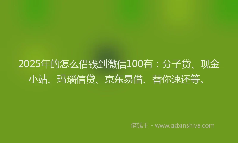 2025年的怎么借钱到微信100有：分子贷、现金小站、玛瑙信贷、京东易借、替你速还等。