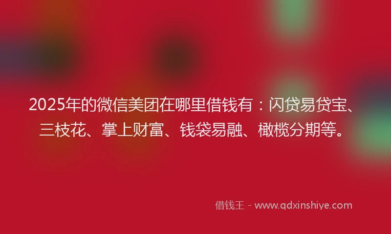2025年的微信美团在哪里借钱有：闪贷易贷宝、三枝花、掌上财富、钱袋易融、橄榄分期等。