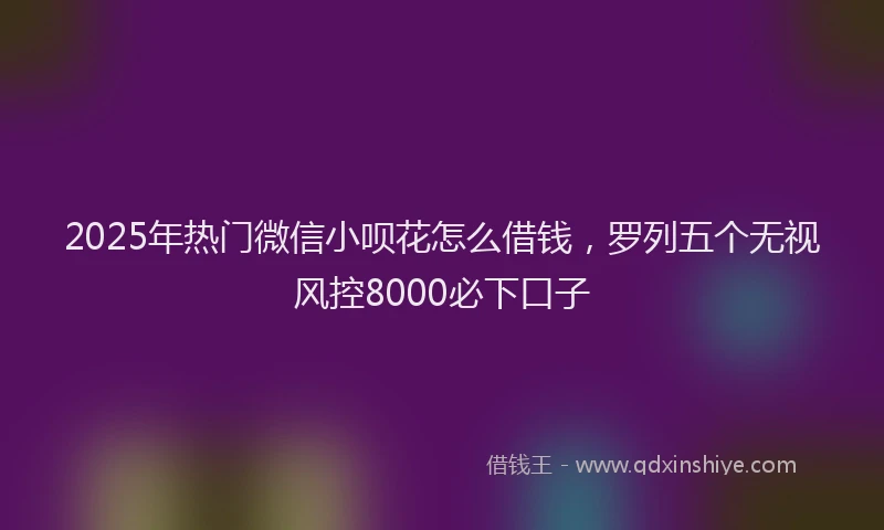 2025年热门微信小呗花怎么借钱，罗列五个无视风控8000必下口子