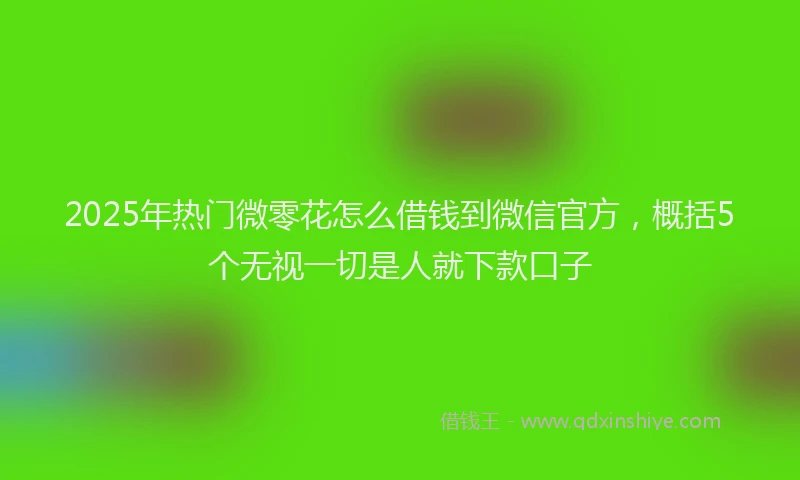 2025年热门微零花怎么借钱到微信官方，概括5个无视一切是人就下款口子