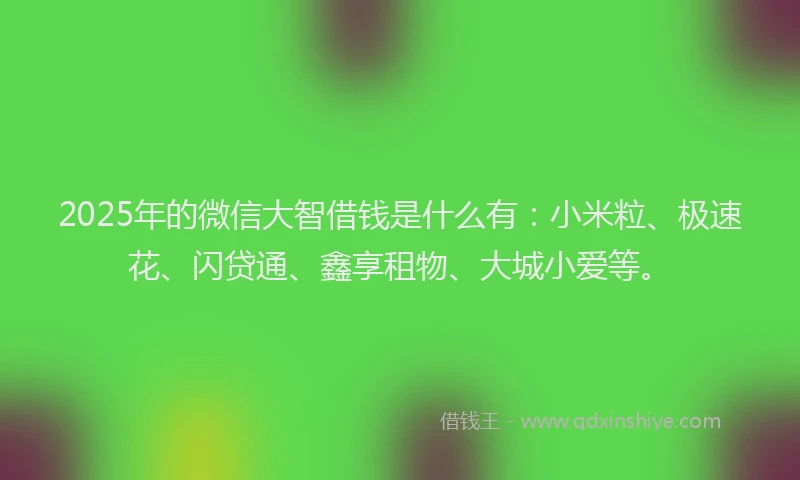 2025年的微信大智借钱是什么有：小米粒、极速花、闪贷通、鑫享租物、大城小爱等。