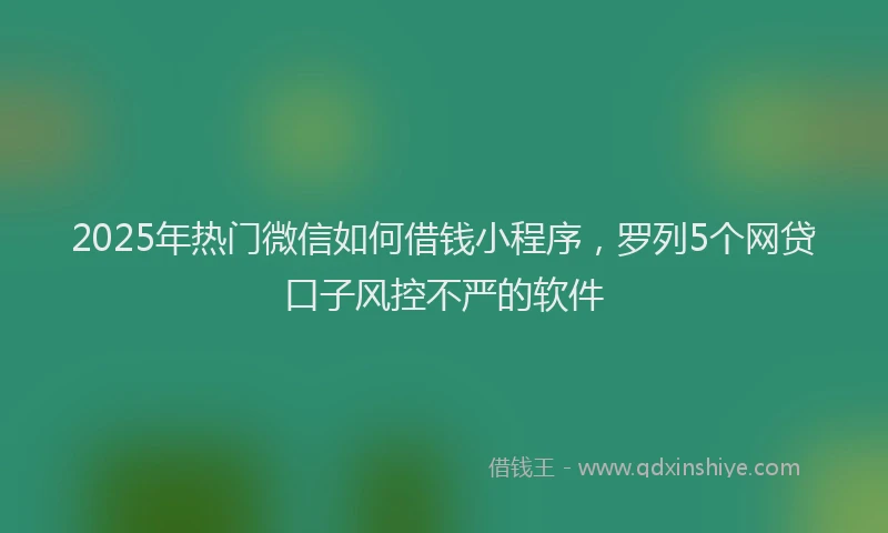 2025年热门微信如何借钱小程序，罗列5个网贷口子风控不严的软件