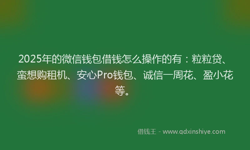 2025年的微信钱包借钱怎么操作的有：粒粒贷、蛮想购租机、安心Pro钱包、诚信一周花、盈小花等。
