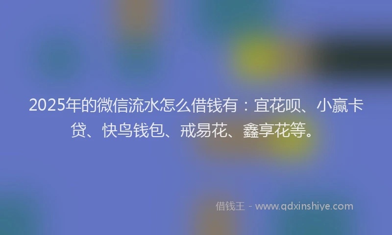 2025年的微信流水怎么借钱有：宜花呗、小赢卡贷、快鸟钱包、戒易花、鑫享花等。