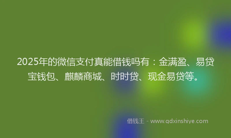 2025年的微信支付真能借钱吗有：金满盈、易贷宝钱包、麒麟商城、时时贷、现金易贷等。