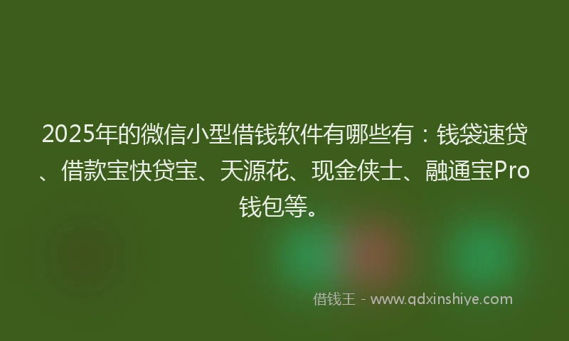 2025年的微信小型借钱软件有哪些有：钱袋速贷、借款宝快贷宝、天源花、现金侠士、融通宝Pro钱包等。