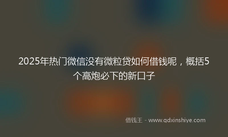 2025年热门微信没有微粒贷如何借钱呢，概括5个高炮必下的新口子