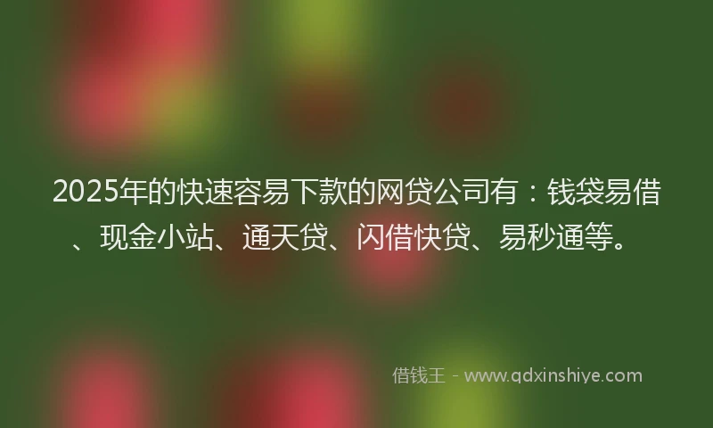 2025年的快速容易下款的网贷公司有：钱袋易借、现金小站、通天贷、闪借快贷、易秒通等。