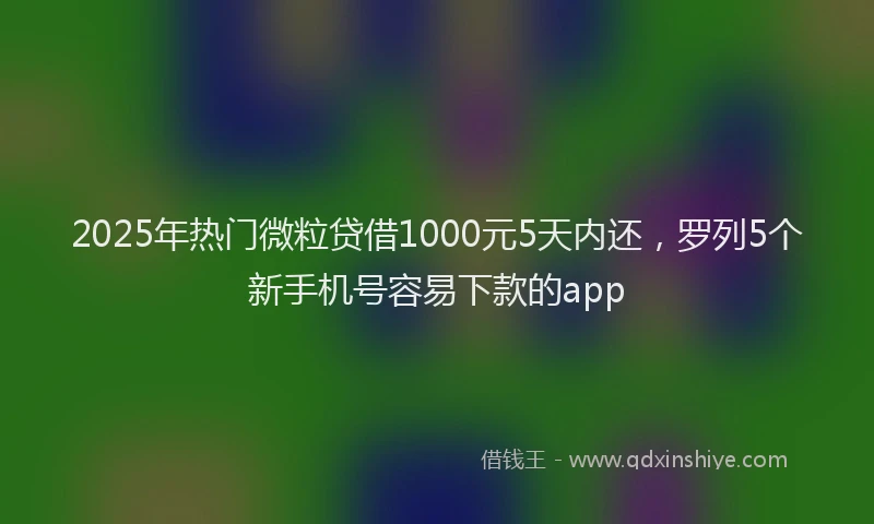 2025年热门微粒贷借1000元5天内还，罗列5个新手机号容易下款的app