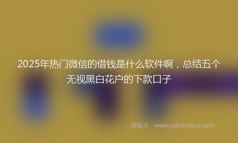 2025年热门微信的借钱是什么软件啊，总结五个无视黑白花户的下款口子