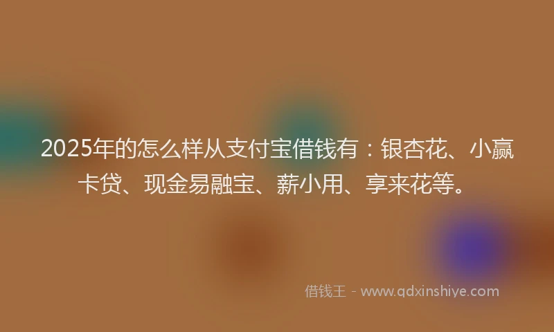 2025年的怎么样从支付宝借钱有：银杏花、小赢卡贷、现金易融宝、薪小用、享来花等。