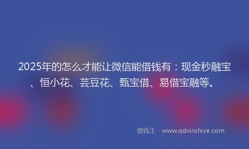 2025年的怎么才能让微信能借钱有：现金秒融宝、恒小花、芸豆花、甄宝借、易借宝融等。