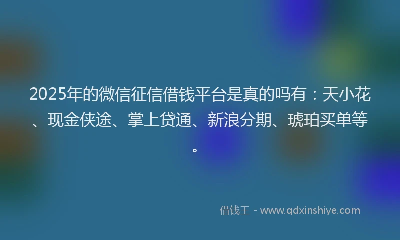 2025年的微信征信借钱平台是真的吗有：天小花、现金侠途、掌上贷通、新浪分期、琥珀买单等。