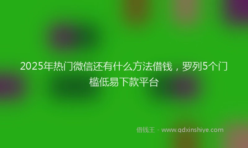 2025年热门微信还有什么方法借钱，罗列5个门槛低易下款平台