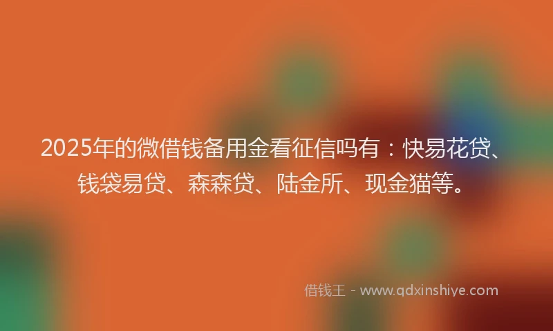 2025年的微借钱备用金看征信吗有：快易花贷、钱袋易贷、森森贷、陆金所、现金猫等。