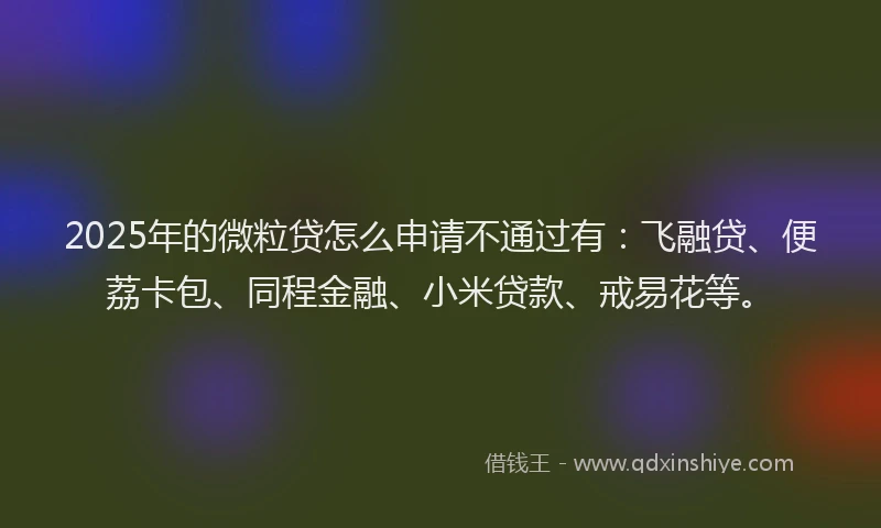 2025年的微粒贷怎么申请不通过有:飞融贷、便荔卡包、同程金融、小米贷款、戒易花等。
