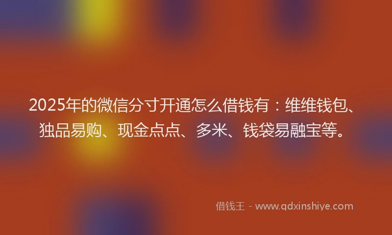 2025年的微信分寸开通怎么借钱有：维维钱包、独品易购、现金点点、多米、钱袋易融宝等。