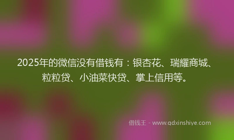 2025年的微信没有借钱有：银杏花、瑞耀商城、粒粒贷、小油菜快贷、掌上信用等。