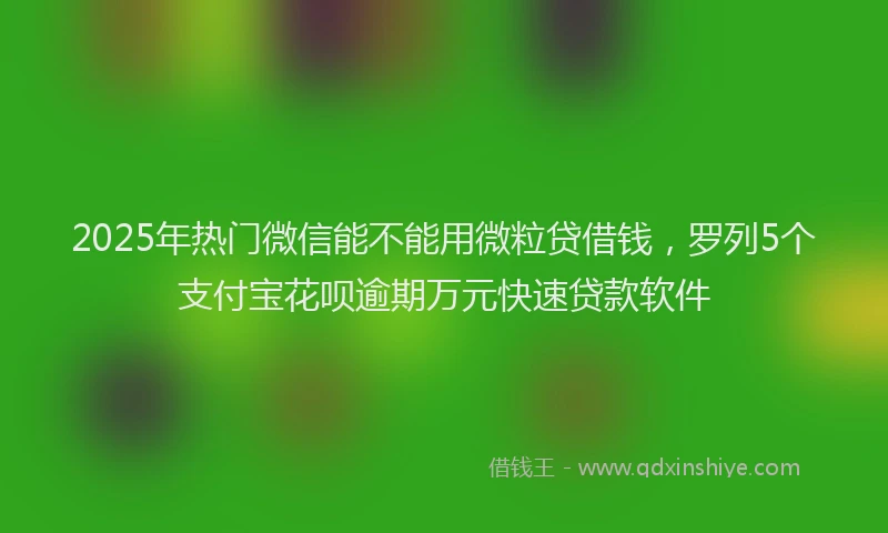 2025年热门微信能不能用微粒贷借钱，罗列5个支付宝花呗逾期万元快速贷款软件
