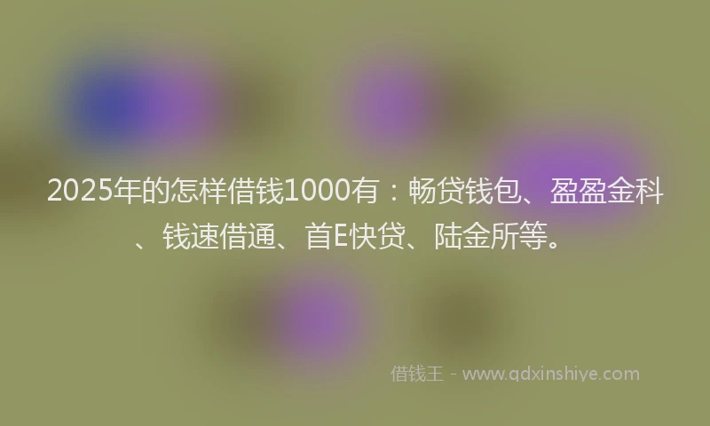 2025年的怎样借钱1000有：畅贷钱包、盈盈金科、钱速借通、首E快贷、陆金所等。