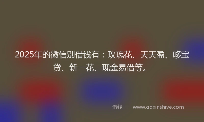 2025年的微信别借钱有：玫瑰花、天天盈、哆宝贷、新一花、现金易借等。
