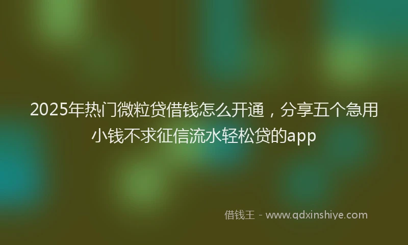 2025年热门微粒贷借钱怎么开通，分享五个急用小钱不求征信流水轻松贷的app