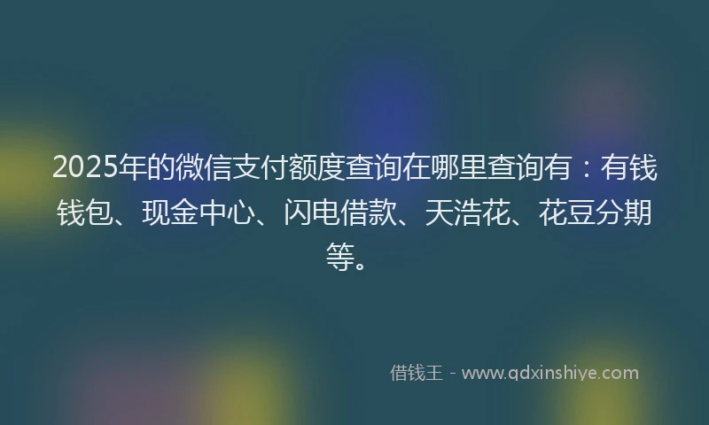 2025年的微信支付额度查询在哪里查询有：有钱钱包、现金中心、闪电借款、天浩花、花豆分期等。