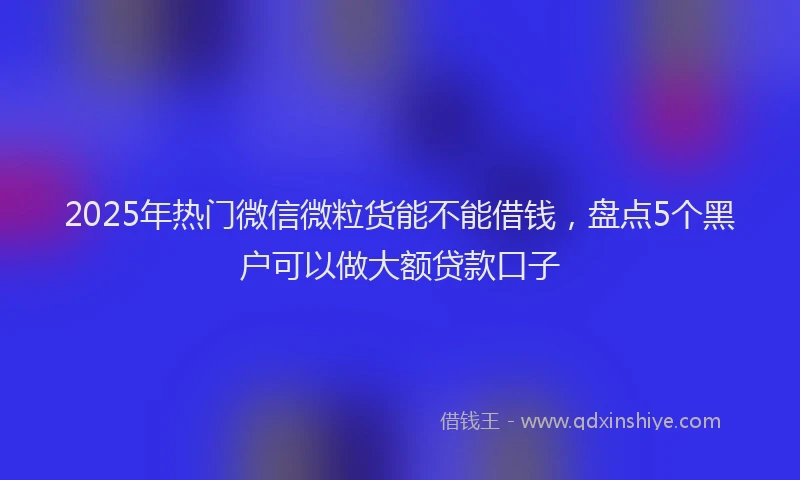 2025年热门微信微粒货能不能借钱，盘点5个黑户可以做大额贷款口子