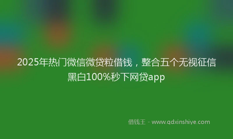 2025年热门微信微贷粒借钱，整合五个无视征信黑白100%秒下网贷app