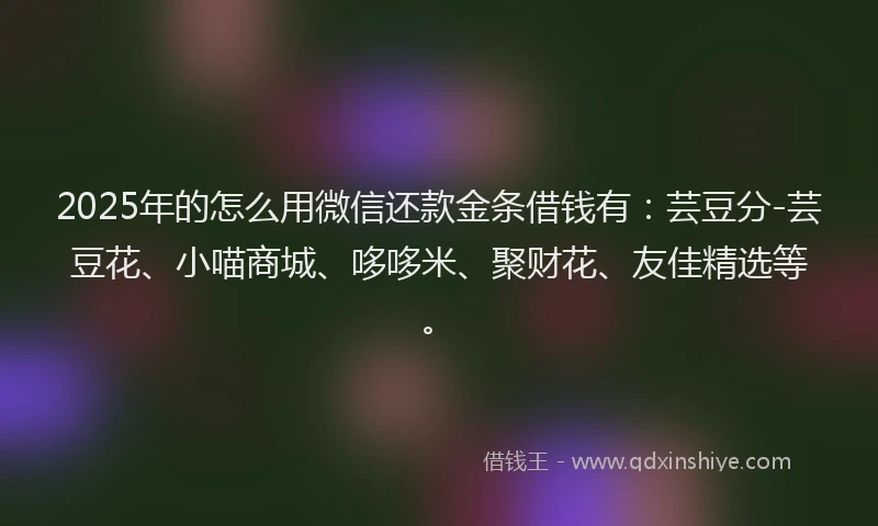 2025年的怎么用微信还款金条借钱有：芸豆分-芸豆花、小喵商城、哆哆米、聚财花、友佳精选等。