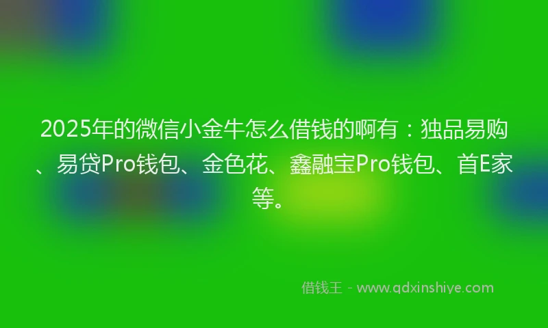 2025年的微信小金牛怎么借钱的啊有：独品易购、易贷Pro钱包、金色花、鑫融宝Pro钱包、首E家等。