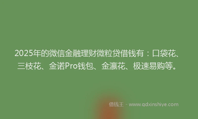 2025年的微信金融理财微粒贷借钱有：口袋花、三枝花、金诺Pro钱包、金瀛花、极速易购等。