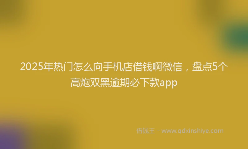 2025年热门怎么向手机店借钱啊微信,盘点5个高炮双黑逾期必下款app