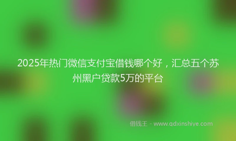 2025年热门微信支付宝借钱哪个好，汇总五个苏州黑户贷款5万的平台