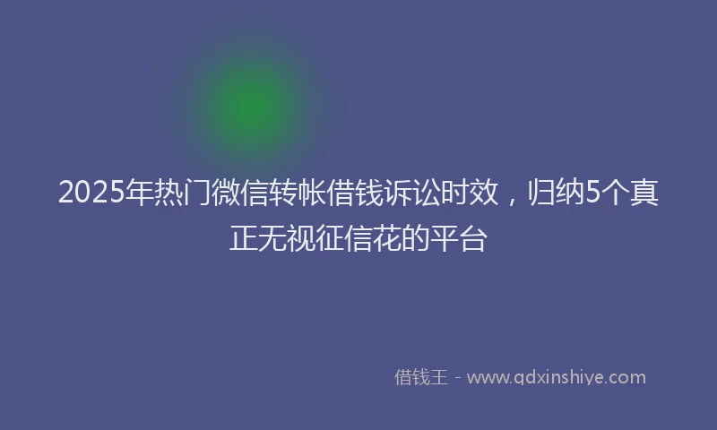 2025年热门微信转帐借钱诉讼时效，归纳5个真正无视征信花的平台