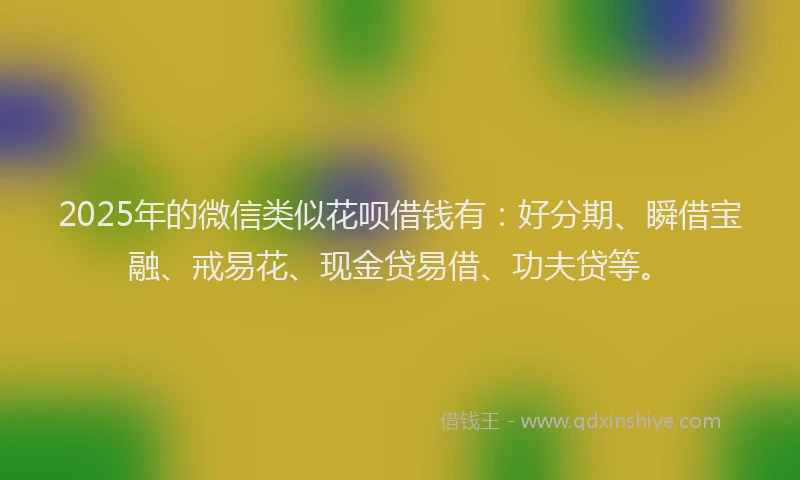 2025年的微信类似花呗借钱有：好分期、瞬借宝融、戒易花、现金贷易借、功夫贷等。