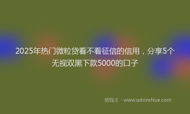 2025年热门微粒贷看不看征信的信用，分享5个无视双黑下款5000的口子
