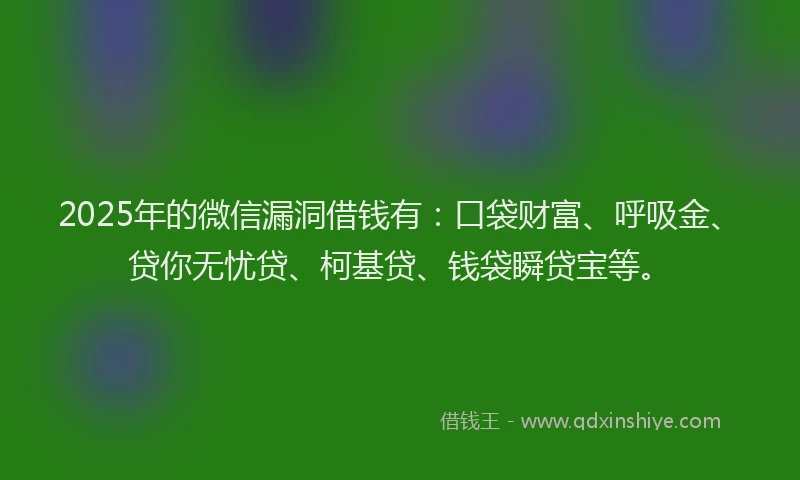 2025年的微信漏洞借钱有：口袋财富、呼吸金、贷你无忧贷、柯基贷、钱袋瞬贷宝等。
