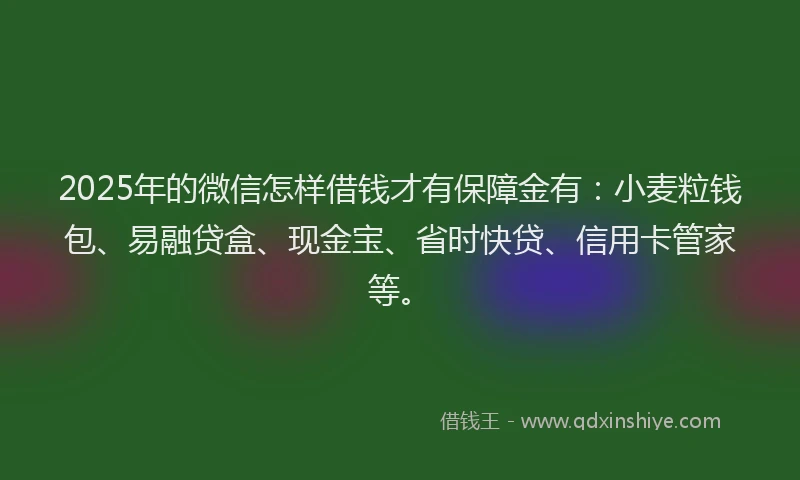 2025年的微信怎样借钱才有保障金有：小麦粒钱包、易融贷盒、现金宝、省时快贷、信用卡管家等。
