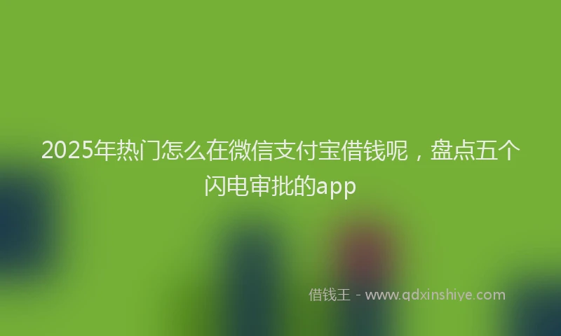 2025年热门怎么在微信支付宝借钱呢，盘点五个闪电审批的app