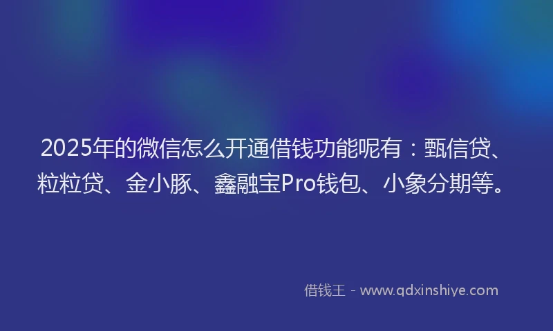 2025年的微信怎么开通借钱功能呢有：甄信贷、粒粒贷、金小豚、鑫融宝Pro钱包、小象分期等。