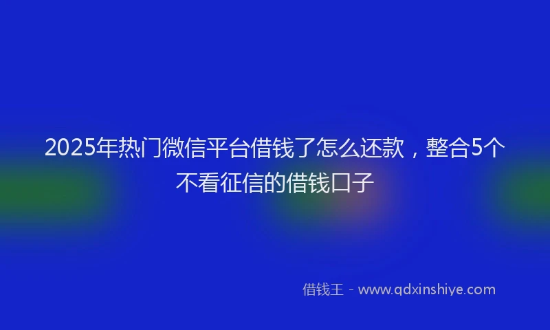 2025年热门微信平台借钱了怎么还款，整合5个不看征信的借钱口子