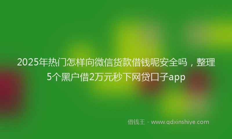 2025年热门怎样向微信货款借钱呢安全吗，整理5个黑户借2万元秒下网贷口子app