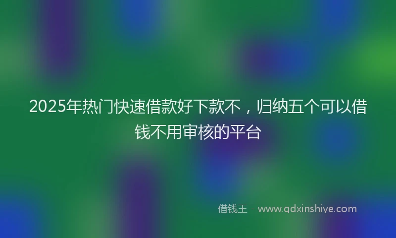 2025年热门快速借款好下款不，归纳五个可以借钱不用审核的平台