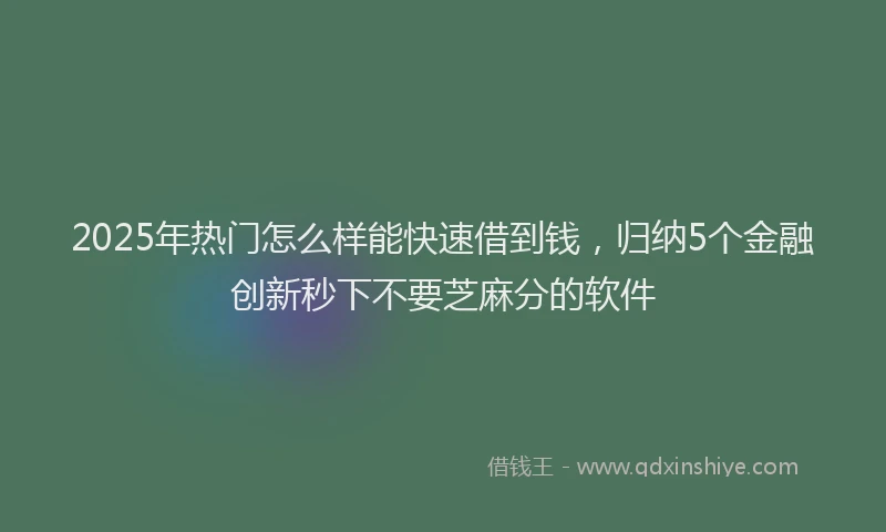 2025年热门怎么样能快速借到钱，归纳5个金融创新秒下不要芝麻分的软件