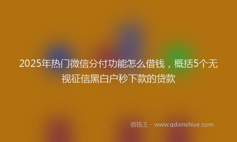2025年热门微信分付功能怎么借钱，概括5个无视征信黑白户秒下款的贷款