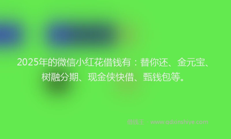 2025年的微信小红花借钱有：替你还、金元宝、树融分期、现金侠快借、甄钱包等。